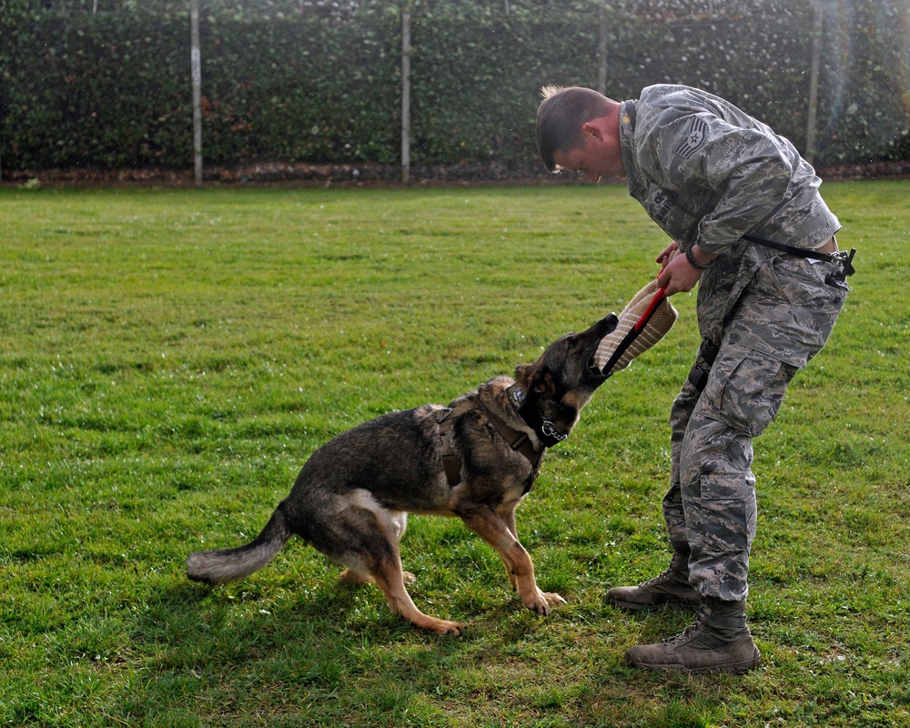 Dog, handler share unconditional bond