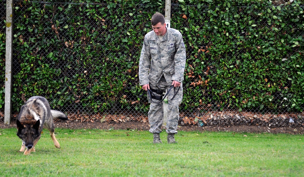 Dog, handler share unconditional bond