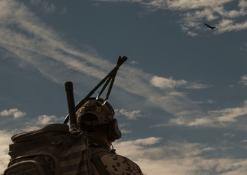 391st FS Bold Tiger return to flight