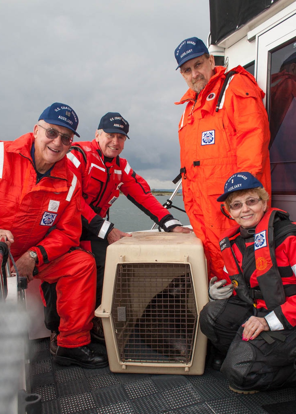 Coast Guard Auxiliary releases Harbor seal