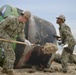 Coast Guard, Navy remove buoy from beach
