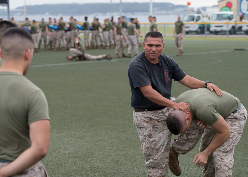 Marine Corps Martial Arts Program course