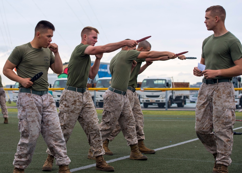 Marine Corps Martial Arts Program course