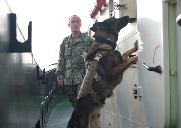 Services join to protect maritime assets