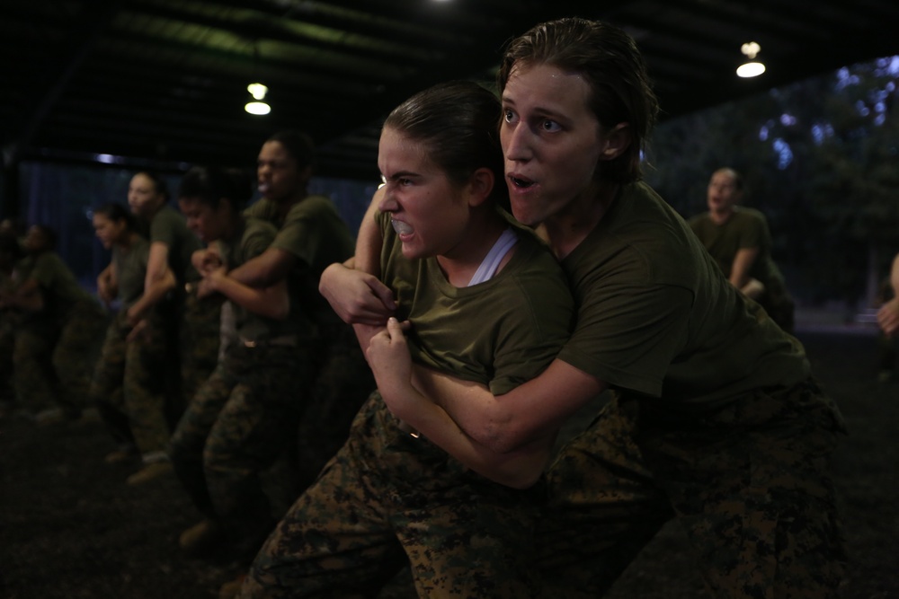 Photo Gallery: Marine recruits learn defensive techniques on Parris Island