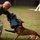 Training Unleashed: Marine dog handler shares bond with canine Training Unleashed: Marine dog handler shares bond with canine