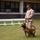 Training Unleashed: Marine dog handler shares bond with canine Training Unleashed: Marine dog handler shares bond with canine