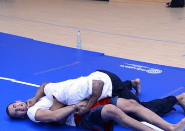 Mixed martial arts moves