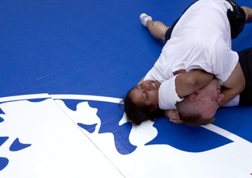 Mixed martial arts moves