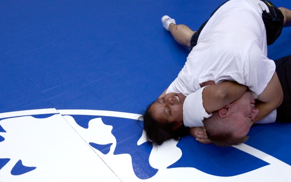 Mixed martial arts moves