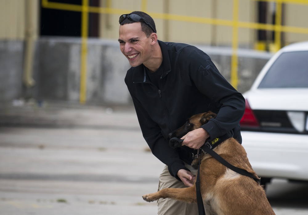 JB Charleston K-9 unit trains with federal agencies on explosives detection