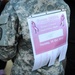 Pentagon's Breast Cancer Awareness Walk/Run