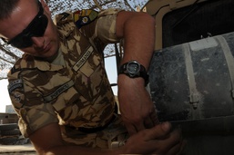 Romanian troops celebrate Armed Forces Day