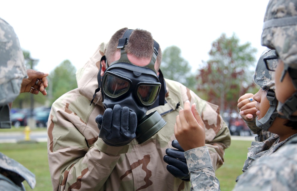 Army Warrior Training