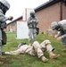 Army Warrior training