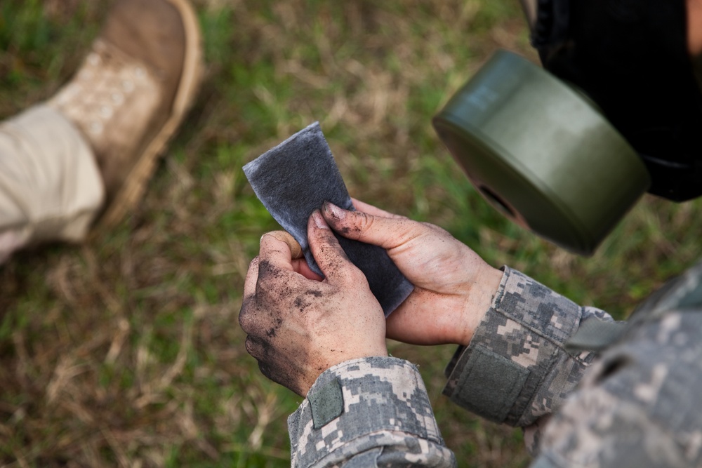 Army warrior training