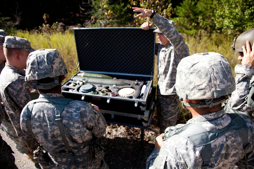 Army warrior training