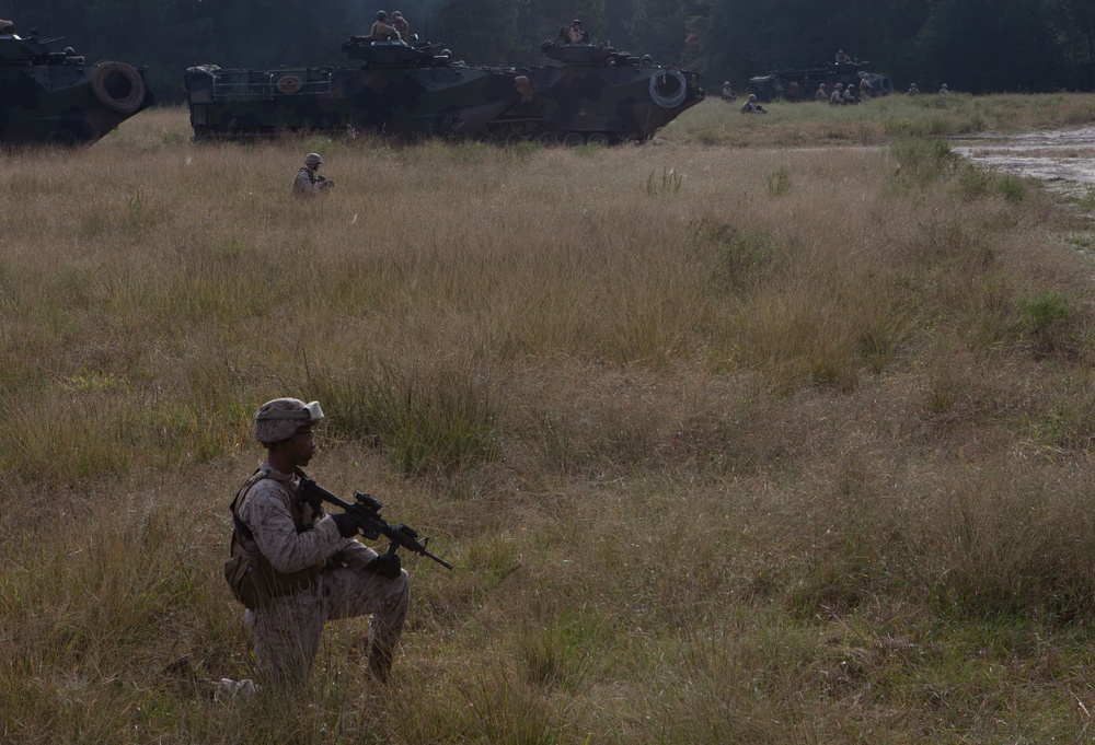 2nd Assault Amphibian Battalion Conducts a Field Exercise