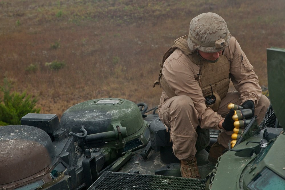 2nd Assault Amphibian Battalion Conducts a Field Exercise