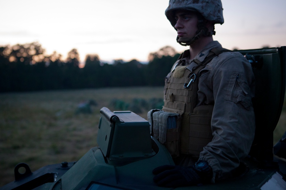 2nd Assault Amphibian Battalion Conducts a Field Exercise