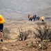 Seabees hike up Santa Monica Mountains