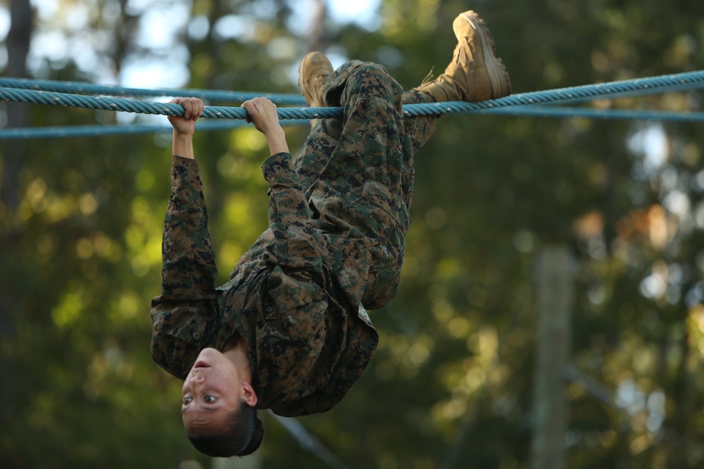 Photo Gallery: Marine recruits tackle Confidence Course on Parris Island