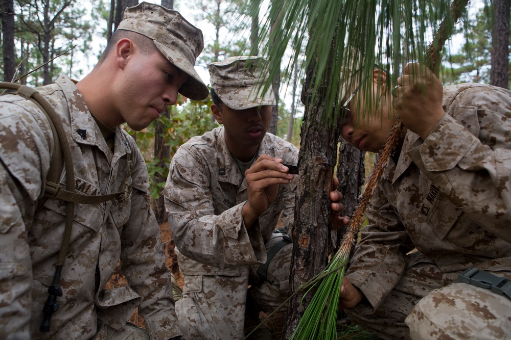 Operation Rolling Thunder 2013