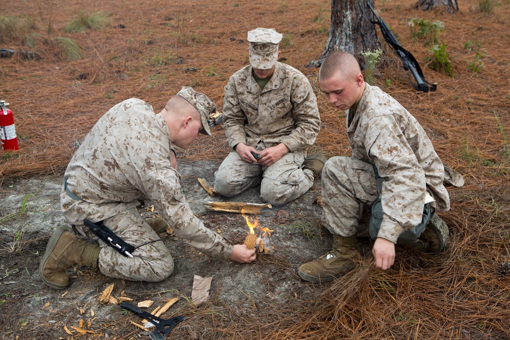 Operation Rolling Thunder 2013