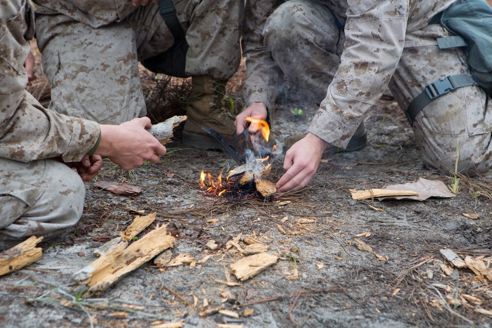 Operation Rolling Thunder 2013