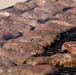 Marines feast during warriors’ meal