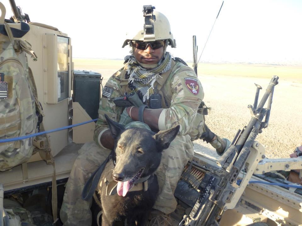 Military working dogs serve with distinction