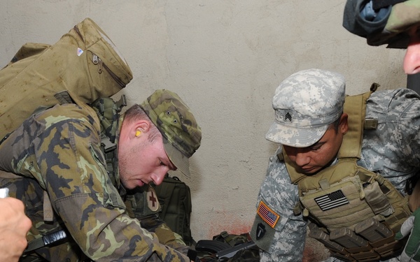 Texas National Guard Medical Command soldiers visit Czech Republic for State Partnership Program