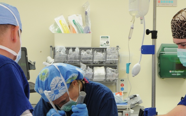 NHP named Top Performer