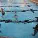 MCB Hawaii Marines dive into training, prepare for MCIWS