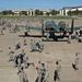 Airman and civilian employees, perform a Foreign Object Debris (FOD) Walk