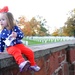 15th Annual Flags Across America at Arlington