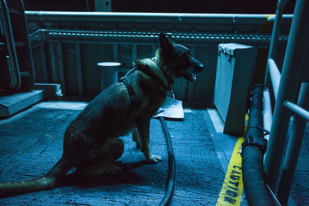 22nd MEU LE Marines train bomb sniffing dog aboard USS Bataan