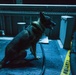 22nd MEU LE Marines train bomb sniffing dog aboard USS Bataan
