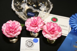 Farmers Market Fall Festival brings hayrides, games, Camellia Flower Show