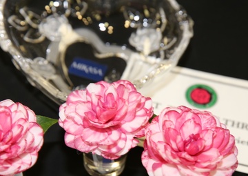 Farmers Market Fall Festival brings hayrides, games, Camellia Flower Show