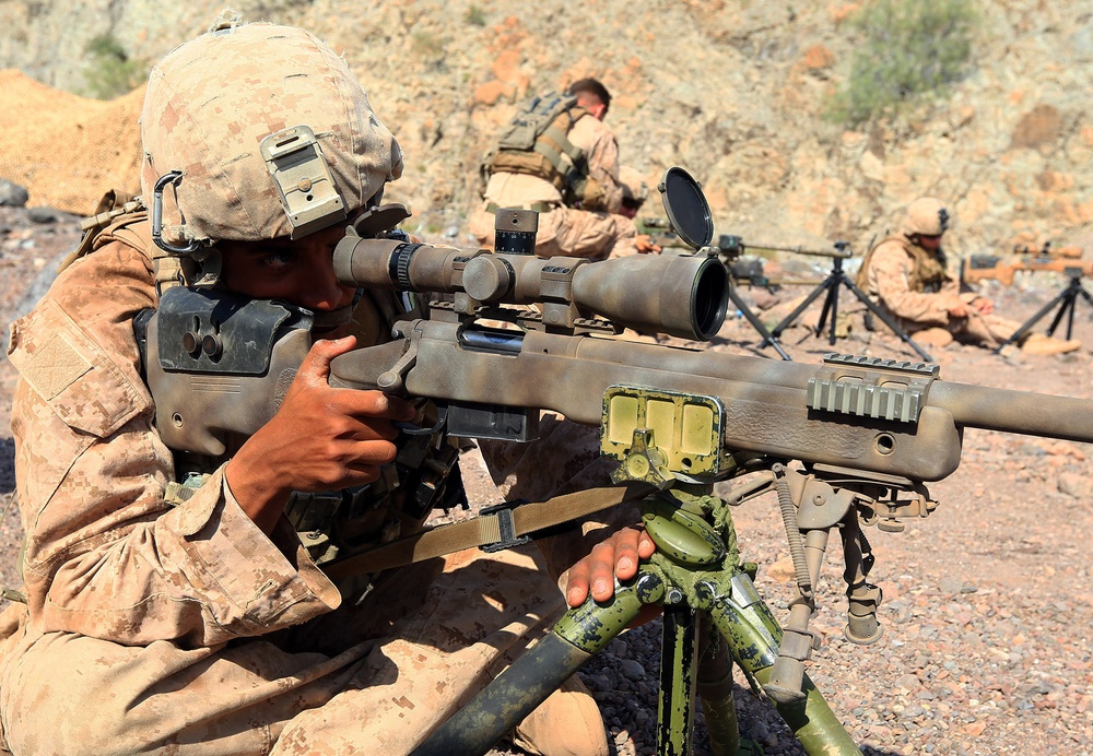 Scout Sniper Sustainment Shoot