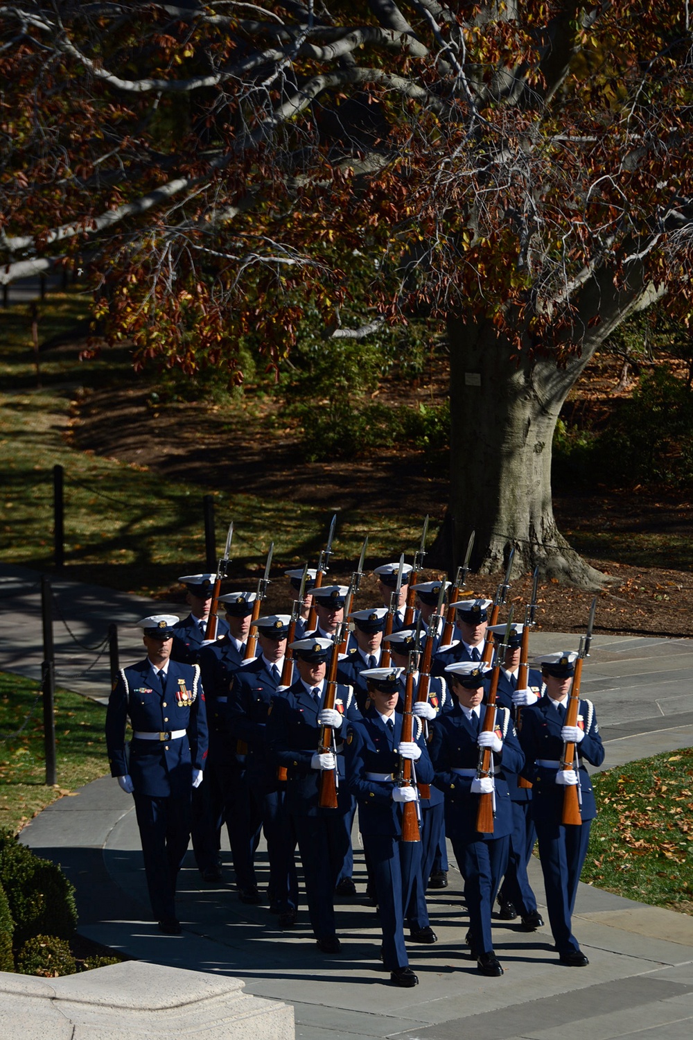 DVIDS Images Veterans Day at Arlington National Cemetery [Image 4 of 6]