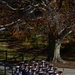 Veterans Day at Arlington National Cemetery