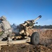 Live fire exercise