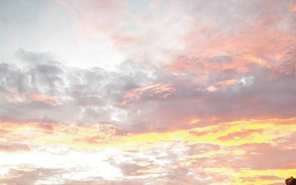 42nd FiB sweats for vets