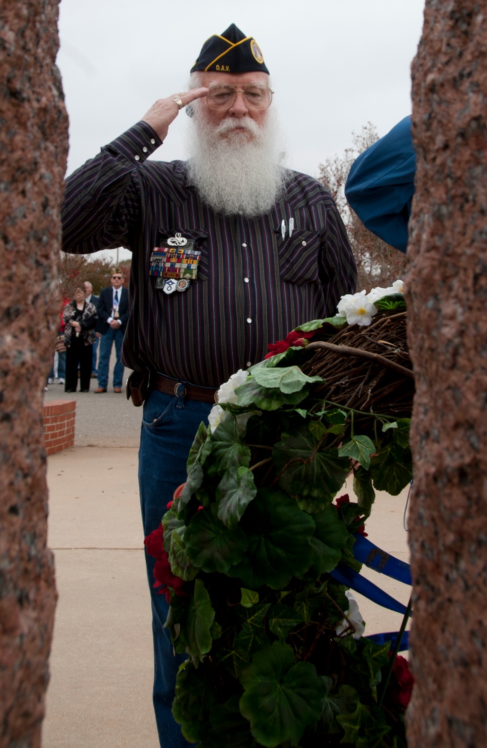 Appreciating the Veterans of America