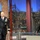 David Letterman Show David Letterman Show