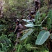 Dense jungle provides unique challenge for future leaders