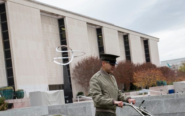 The Flanders Field Project