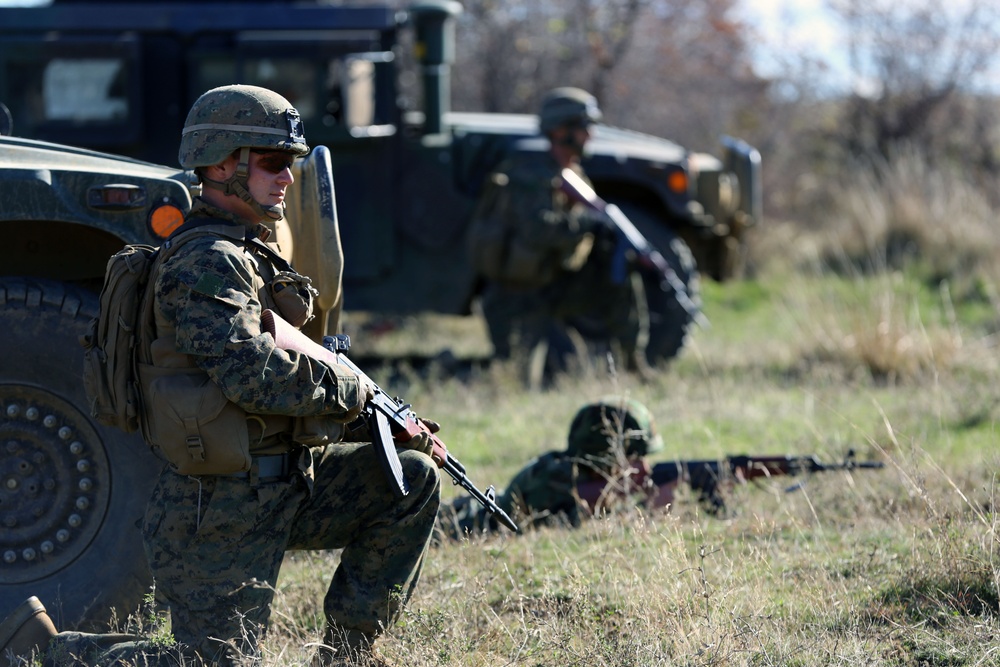 Marines, Bulgarians conduct joint training